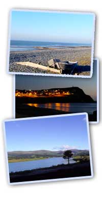 Things to do and See in Borth